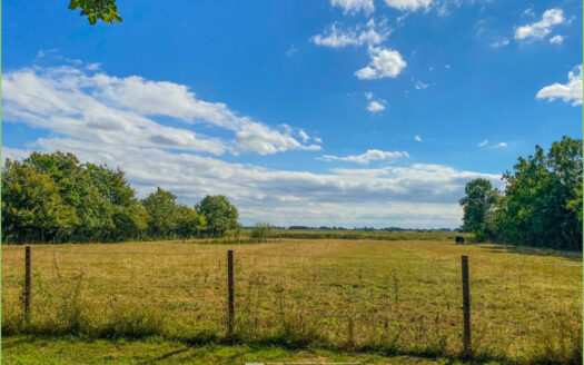 Energetisch modernisiert: Reetdachkate mit Einliegerwohnung**