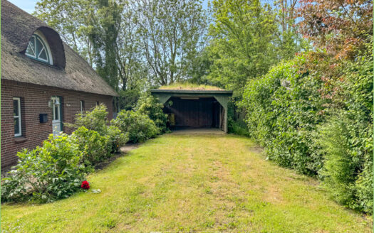 Unter Reet zuhause**