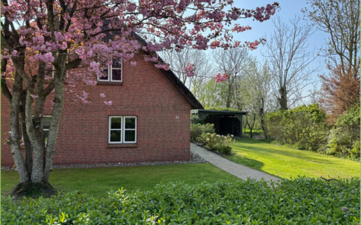 Unter Reet zuhause**