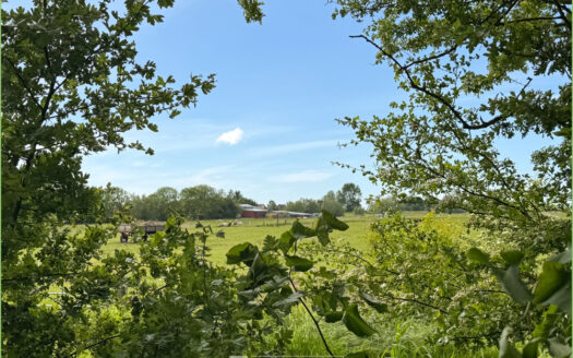 Unter Reet zuhause**