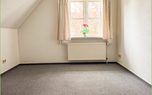 Unter Reet zuhause**