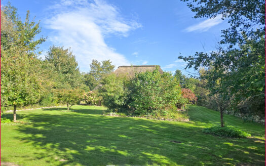 Reetdachhaus im Grünen