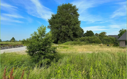 Natur trifft Vision: Ihr zukünftiges Zuhause**