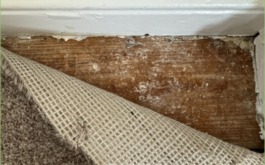 Stadthaus mit Garten und eigener Zufahrt