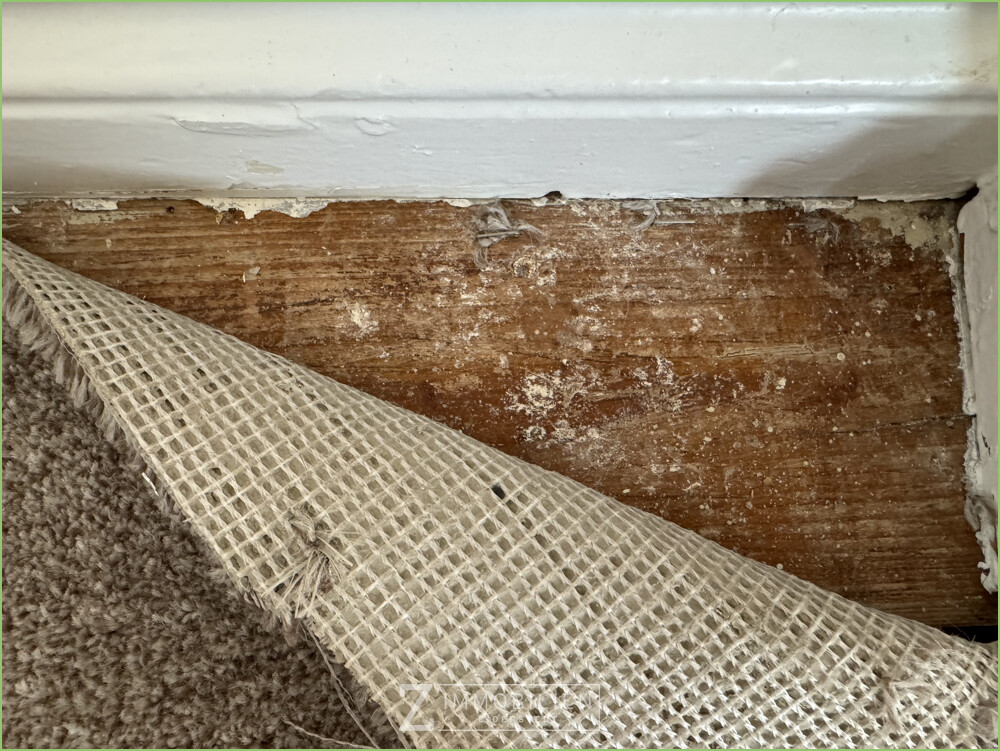 lightbox Holzdielen unter dem Teppich