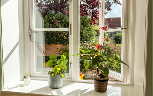 Wie wärs mit einer Ferienwohnung?