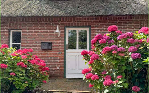 Unter Reet zuhause**