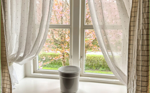 Unter Reet zuhause**