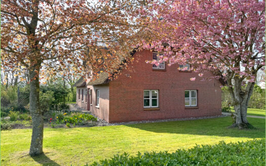 Unter Reet zuhause**