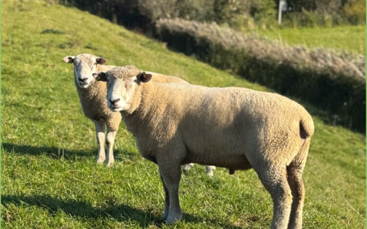 Einzigartige Lage mit modernem Komfort**