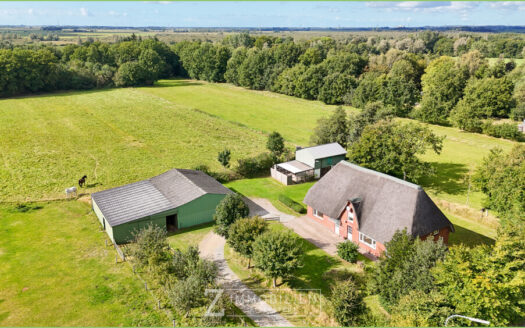 Weite Felder, absolute Ruhe – Ihr Reetdachrefugium in Ramstedt