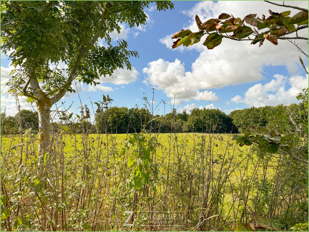 lightbox Blick über die Felder
