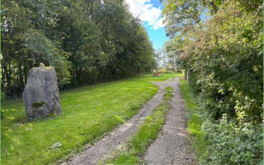 Reetdachidylle kurz vor St. Peter-Ording