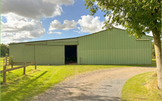 Weite Felder, absolute Ruhe – Ihr Reetdachrefugium in Ramstedt