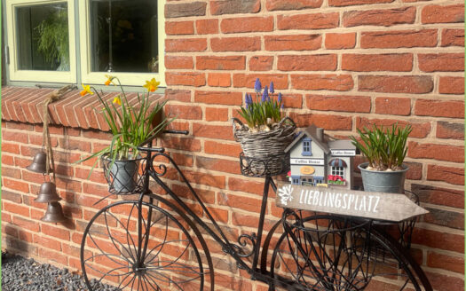 Stilvoll wohnen mit technischen Raffinessen**