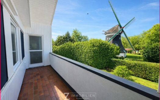 Wohnen mit Blick auf die historische Mühle**