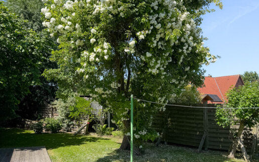 Zwischen Deich, Garten und Eider