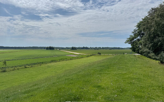 Reetdachkate am Weltnaturerbe