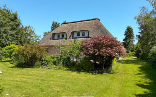 Reetdachhaus im Grünen