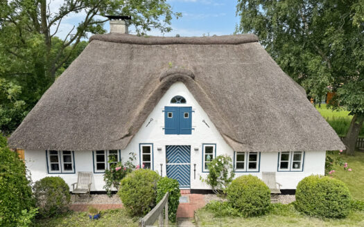 Idylle unter Reet